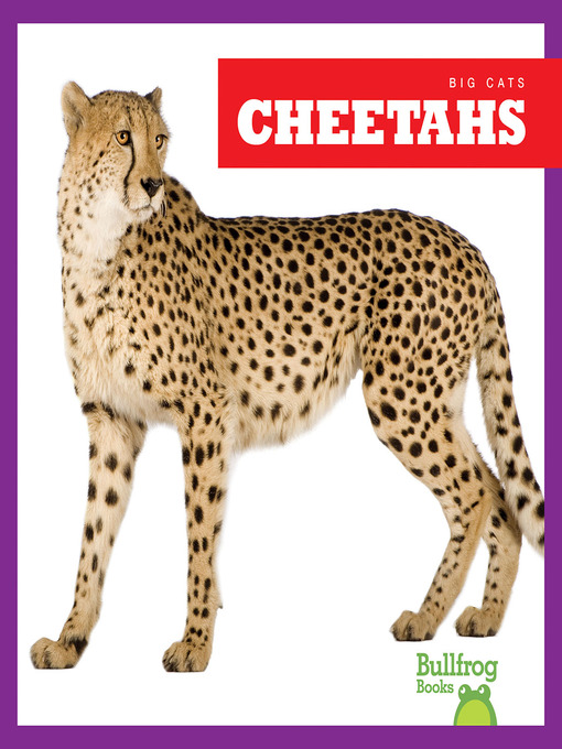 Title details for Cheetahs by Marie Brandle - Available